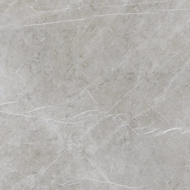 Alesta Silver, фото 4