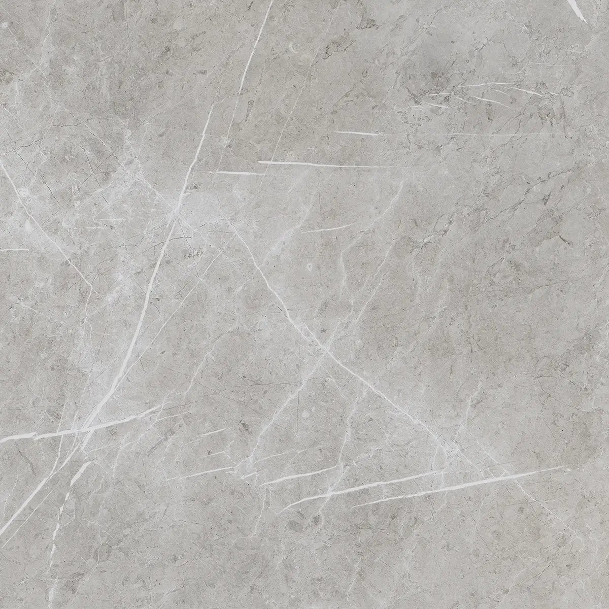 Керамогранит Alesta Silver, 60×60 см, 8 мм, матовая, фото 12