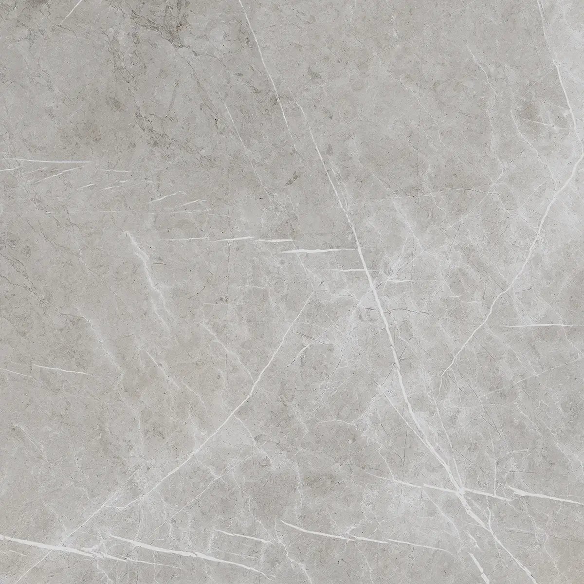 Керамогранит Alesta Silver, 60×60 см, 8 мм, матовая, фото 7