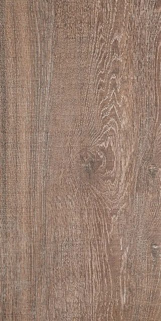 Amazon Walnut