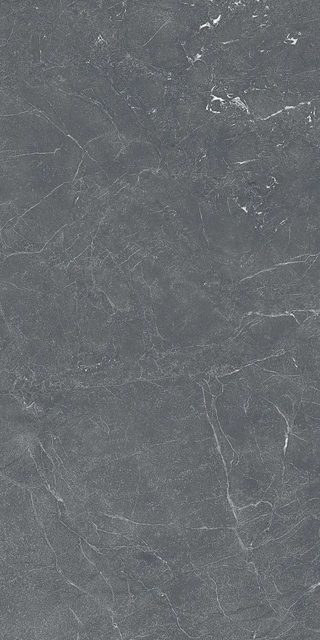 Aracruz Anthracite, фото 2