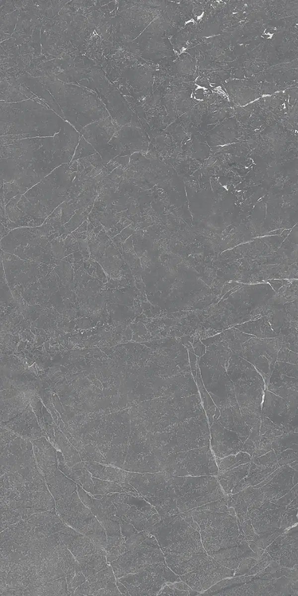 Керамогранит Aracruz Dark Grey, 80×160 см, 8.5 мм, матовая, фото 2