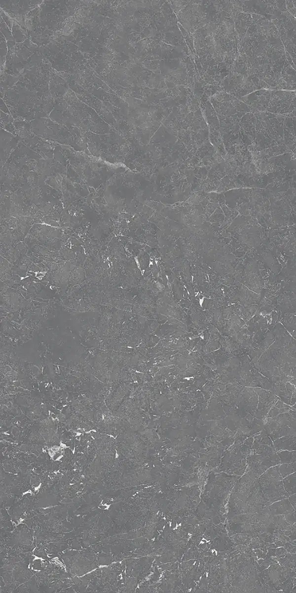 Керамогранит Aracruz Dark Grey, 80×160 см, 8.5 мм, матовая, фото 3