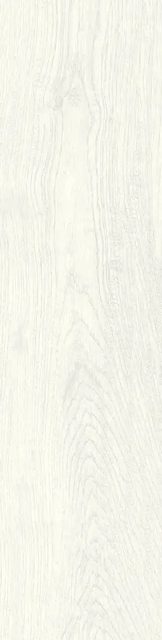 Atlanta White, фото 3