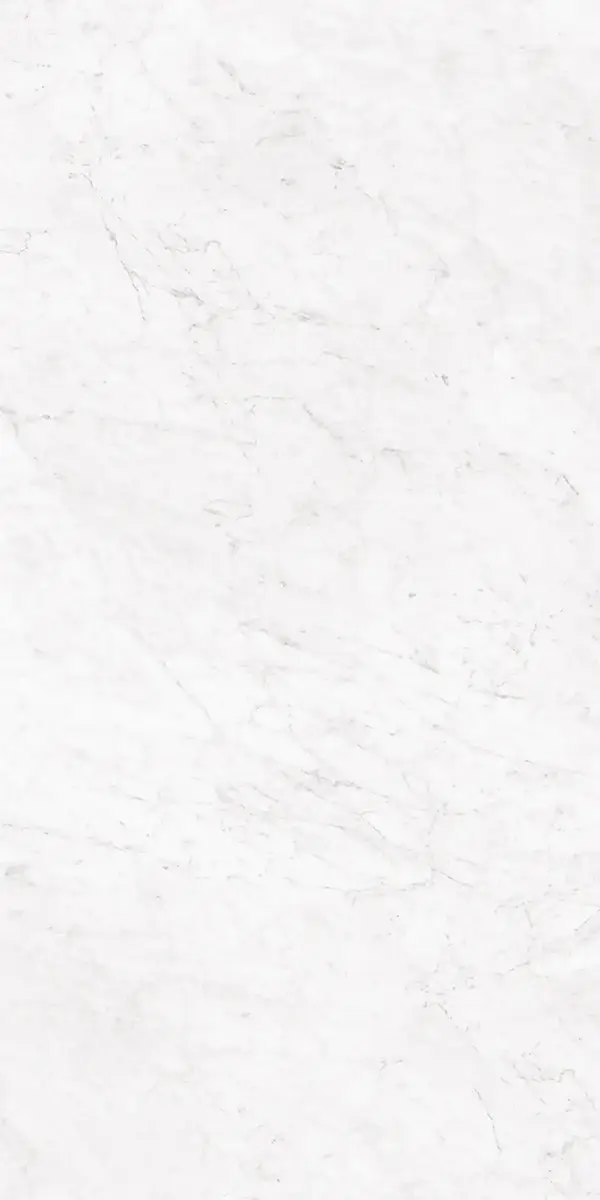 Керамогранит Bianco Carrara, 80×160 см, 8.5 мм, полированная (нано), фото 6