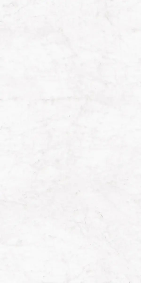 Керамогранит Bianco Carrara, 80×160 см, 8.5 мм, полированная (нано), фото 7