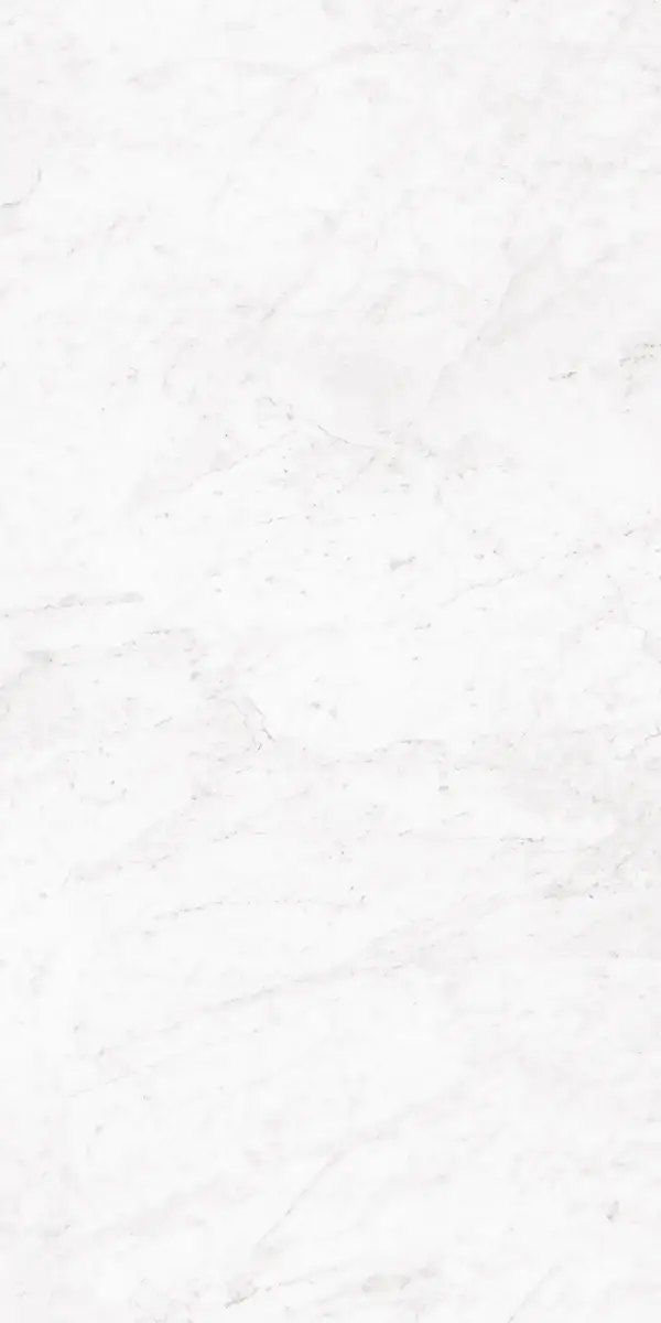Керамогранит Bianco Carrara, 80×160 см, 8.5 мм, полированная (нано), фото 9