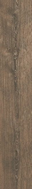 Dendro Walnut