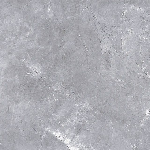 Elegant Grey