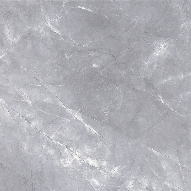 Elegant Grey, фото 2