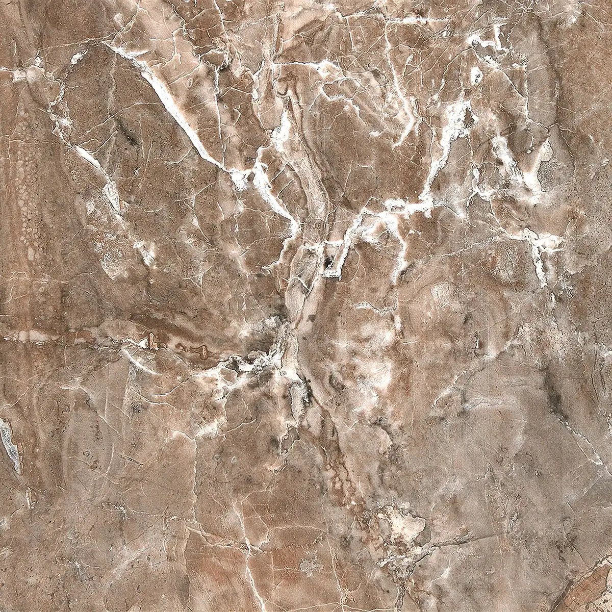 Керамогранит Elis Brown, 30×60 см, 7 мм, полированная, фото 2