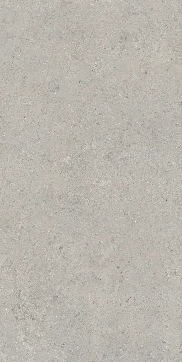 Керамогранит Essential Grey, 60×120 см, 8 мм, матовая (DF), фото 20