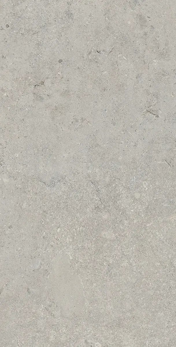 Керамогранит Essential Grey, 60×120 см, 8 мм, матовая (DF), фото 9