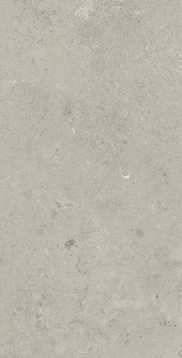 Керамогранит Essential Grey, 60×120 см, 8 мм, матовая (DF), фото 10
