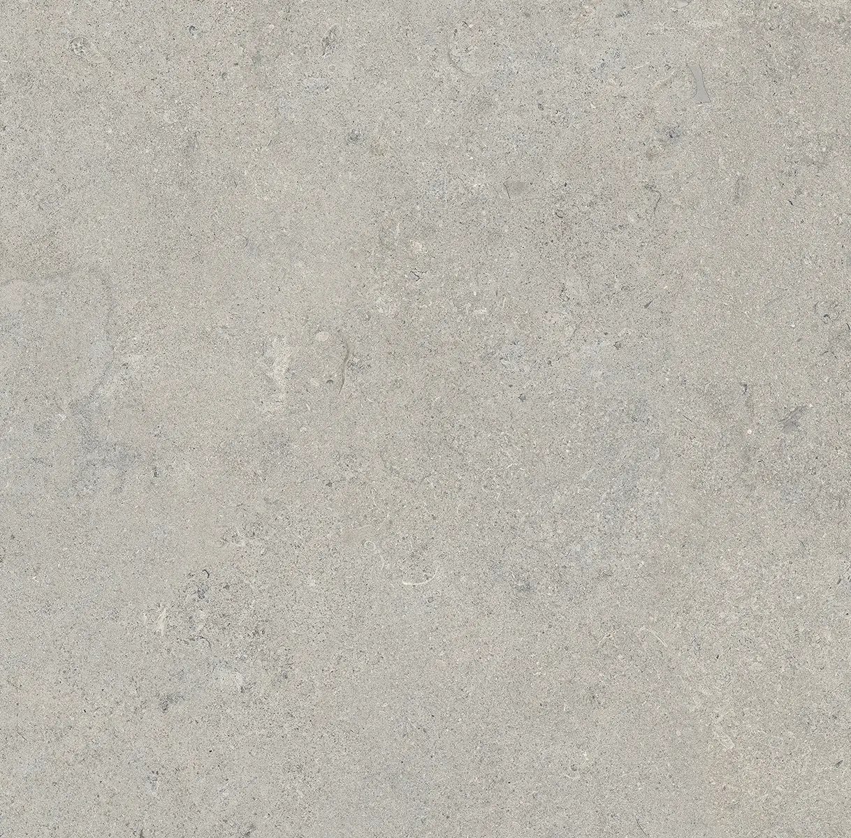 Керамогранит Essential Grey, 60×120 см, 8 мм, матовая (DF), фото 5