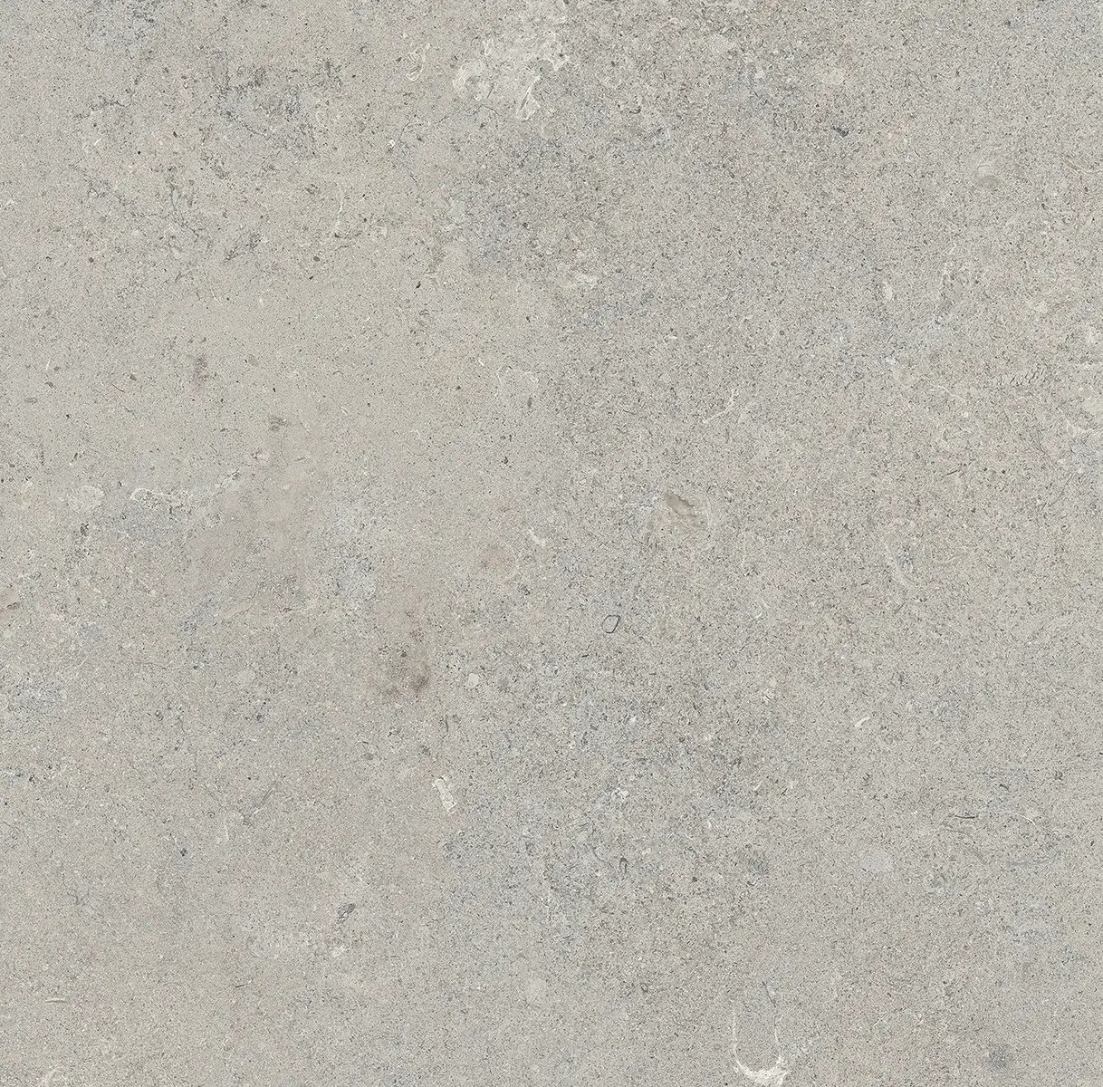 Керамогранит Essential Grey, 60×120 см, 8 мм, матовая (DF), фото 22