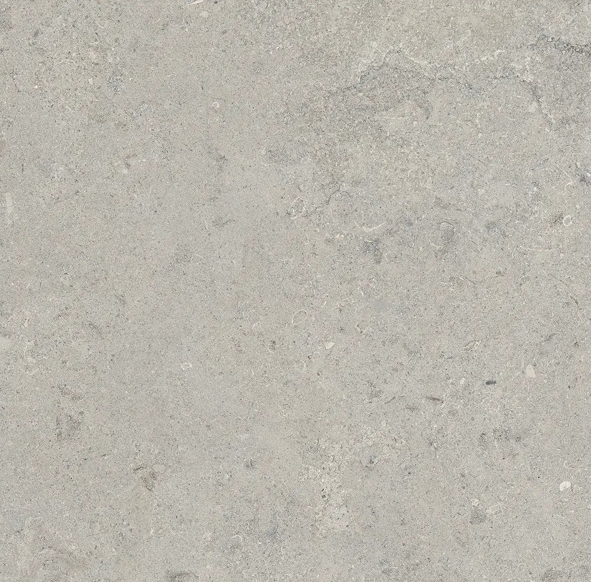 Керамогранит Essential Grey, 60×120 см, 8 мм, матовая (DF), фото 23
