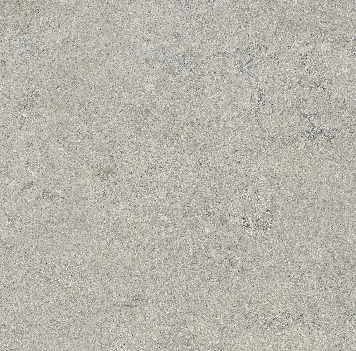 Керамогранит Essential Grey, 60×120 см, 8 мм, матовая (DF), фото 24