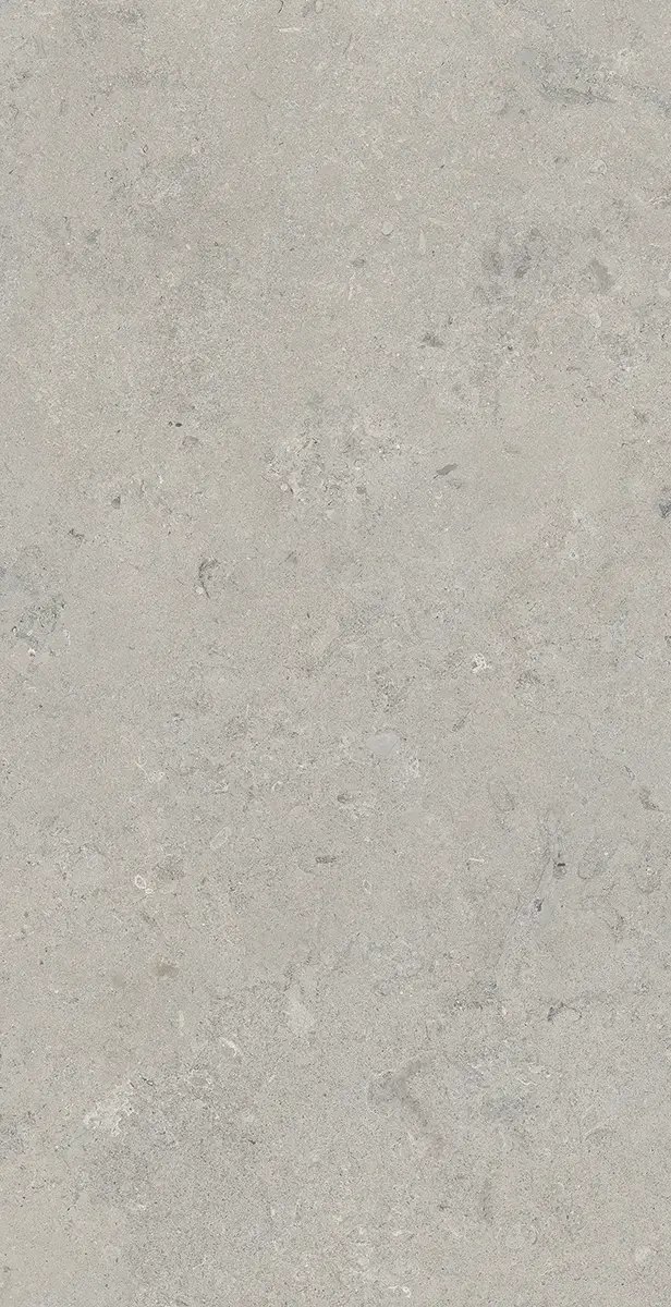 Керамогранит Essential Grey, 60×120 см, 8 мм, матовая (DF), фото 3