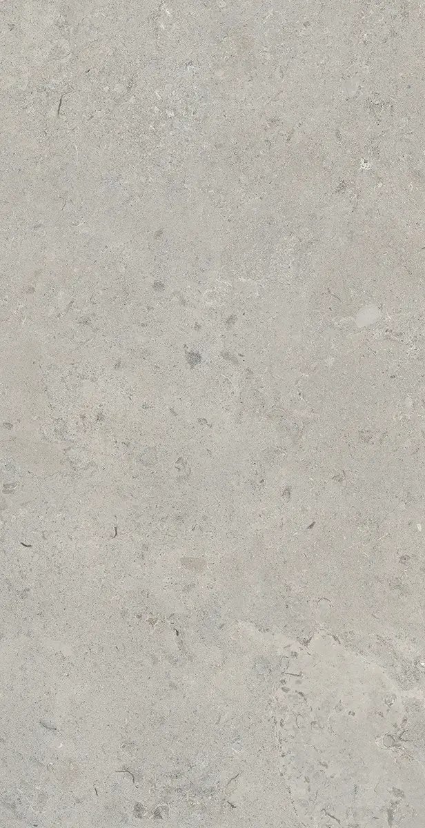 Керамогранит Essential Grey, 60×120 см, 8 мм, матовая (DF), фото 14