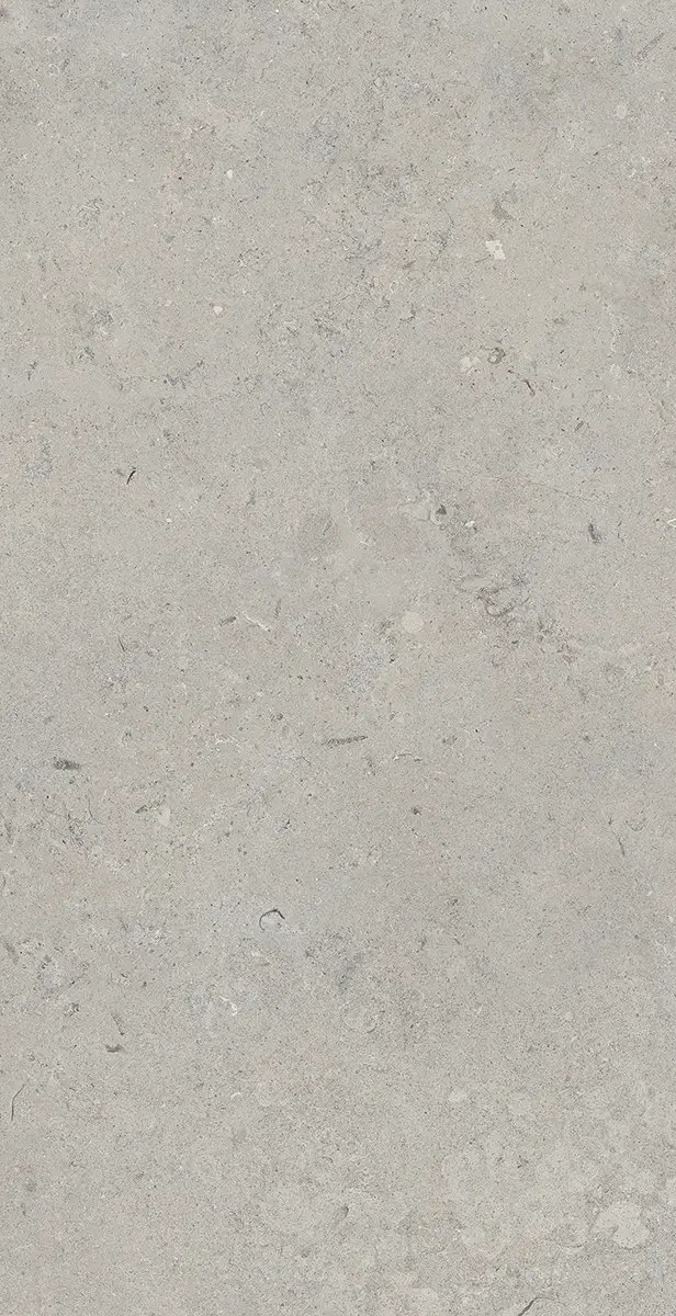 Керамогранит Essential Grey, 60×120 см, 8 мм, матовая (DF), фото 16