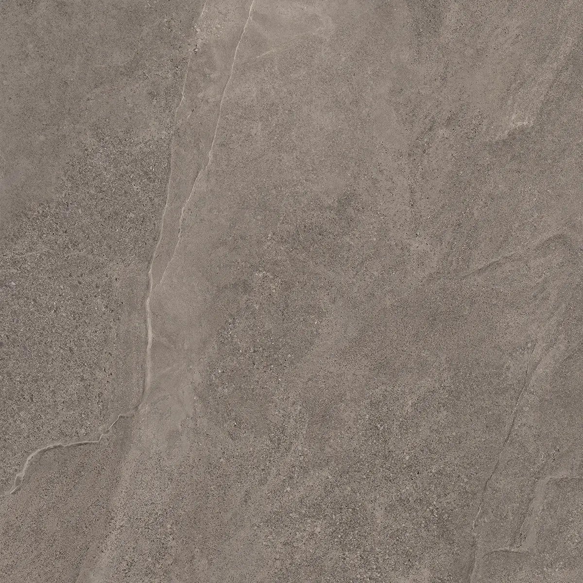Керамогранит Indiana Taupe, 60×120 см, 8 мм, матовая, фото 4