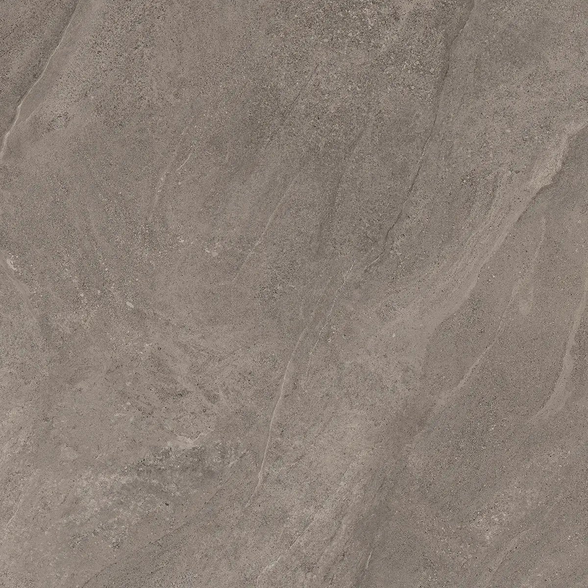 Керамогранит Indiana Taupe, 60×120 см, 8 мм, матовая, фото 19