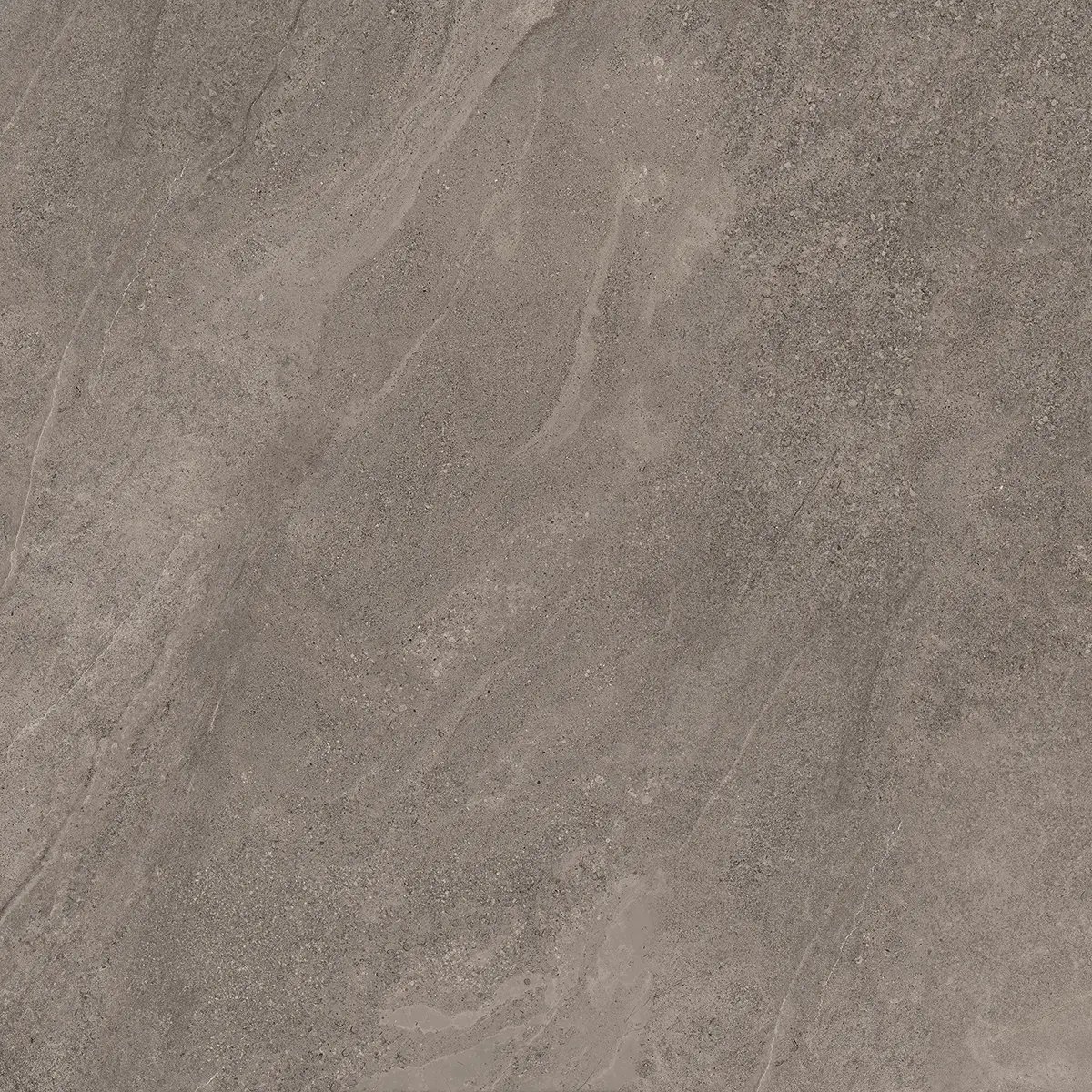 Керамогранит Indiana Taupe, 60×120 см, 8 мм, матовая, фото 20