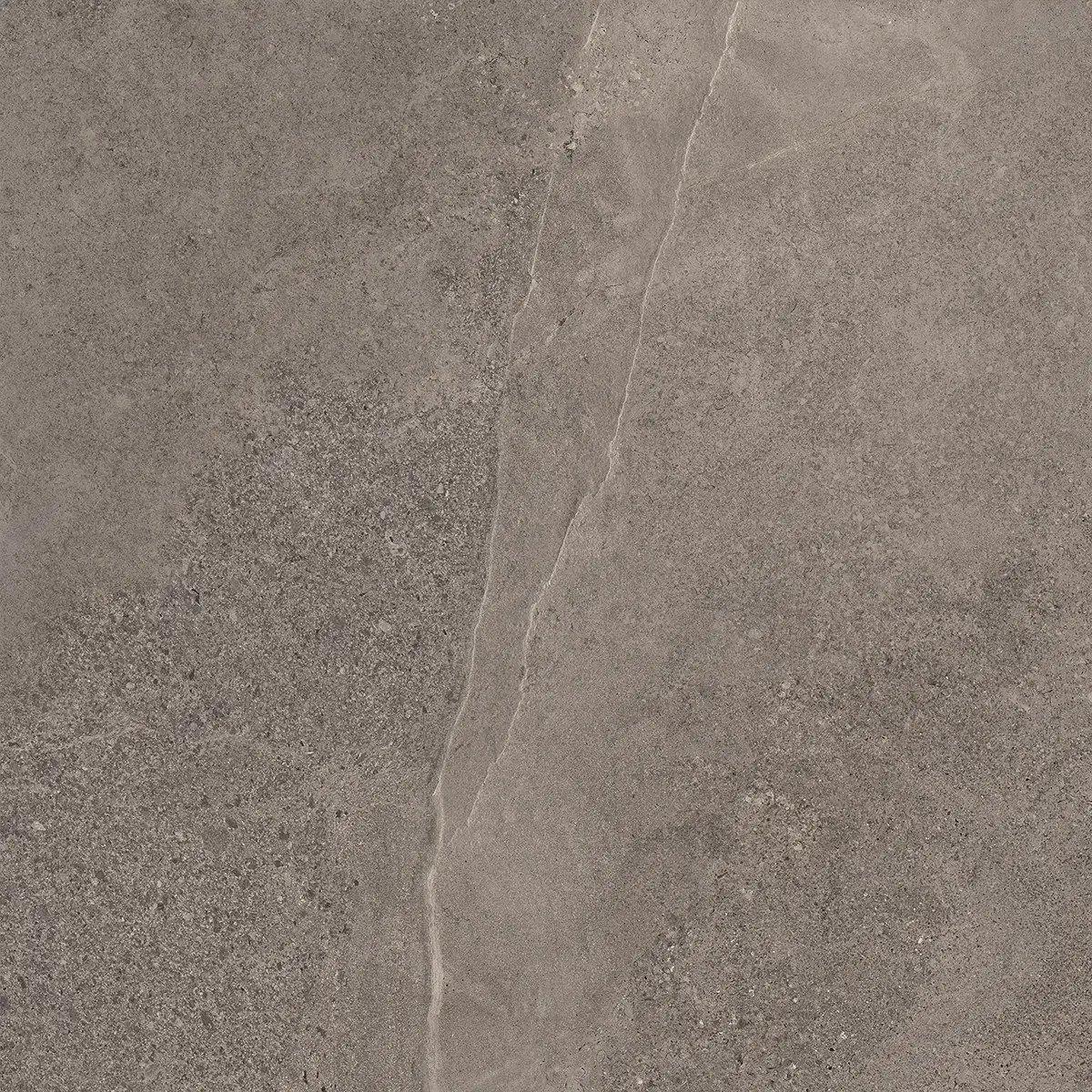 Керамогранит Indiana Taupe, 60×120 см, 8 мм, матовая, фото 2
