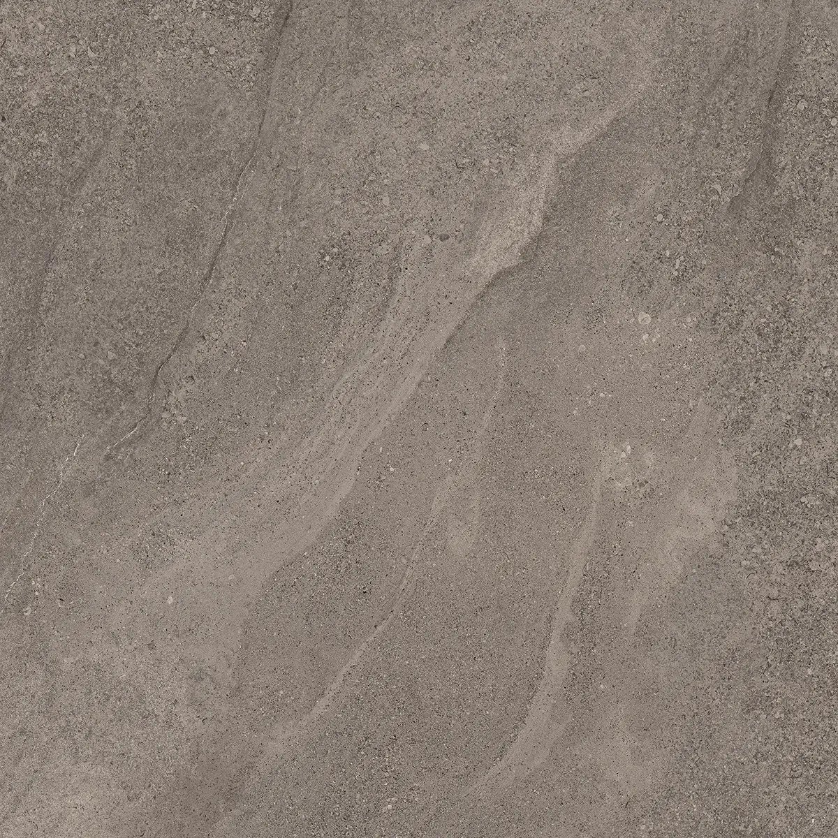 Керамогранит Indiana Taupe, 60×120 см, 8 мм, матовая, фото 11