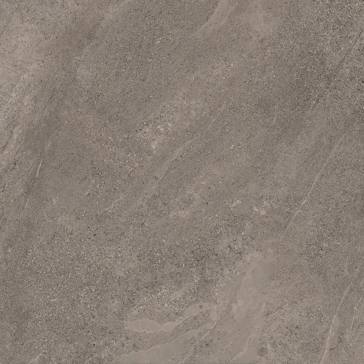 Керамогранит Indiana Taupe, 60×120 см, 8 мм, матовая, фото 13