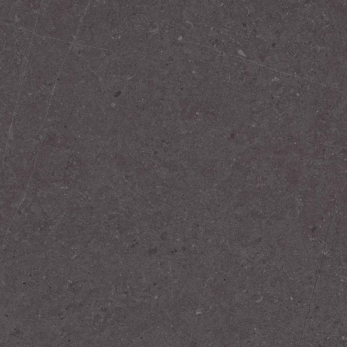 Керамогранит Jura Black, 80×80 см, 8 мм, матовая, фото 2