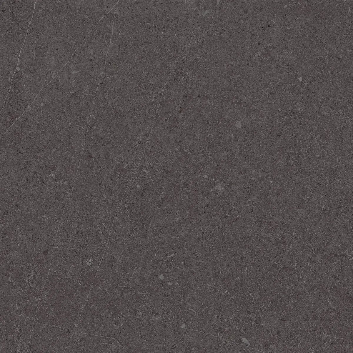 Керамогранит Jura Black, 80×80 см, 8 мм, матовая, фото 4