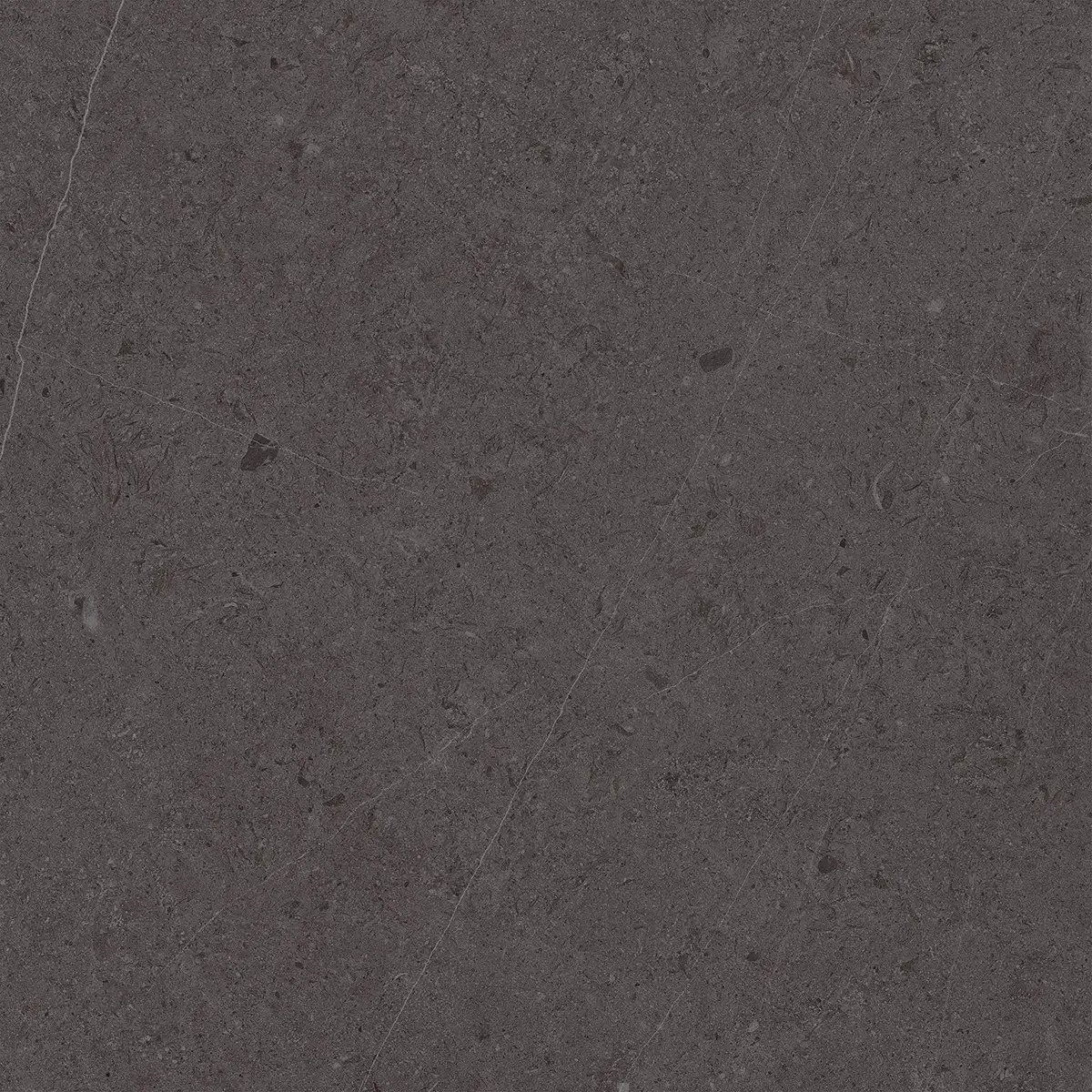Керамогранит Jura Black, 80×80 см, 8 мм, матовая, фото 5