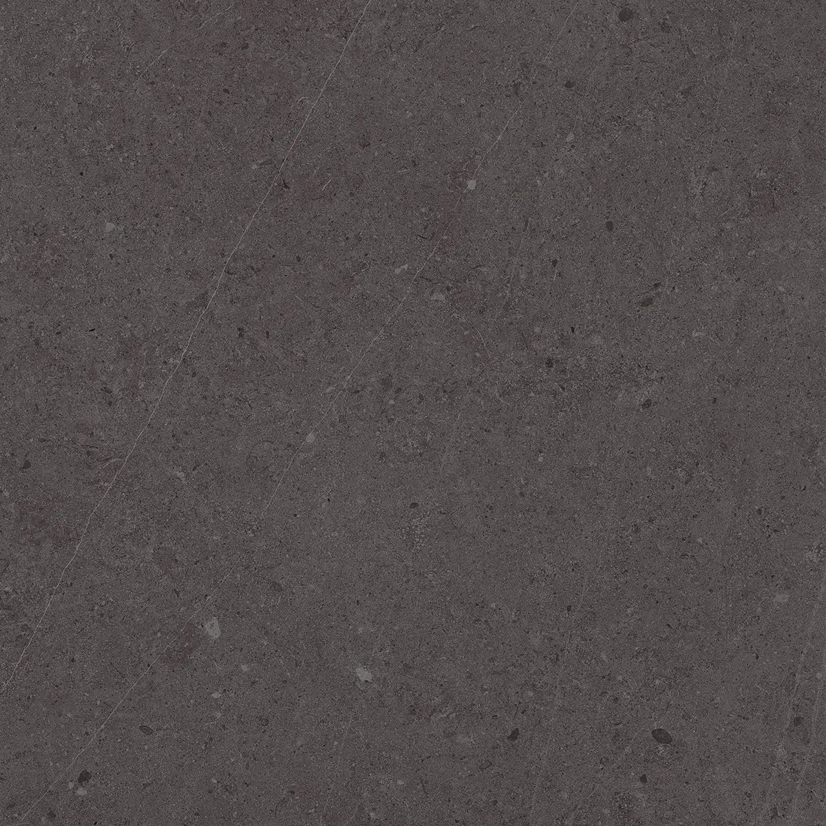 Керамогранит Jura Black, 80×80 см, 8 мм, матовая, фото 6