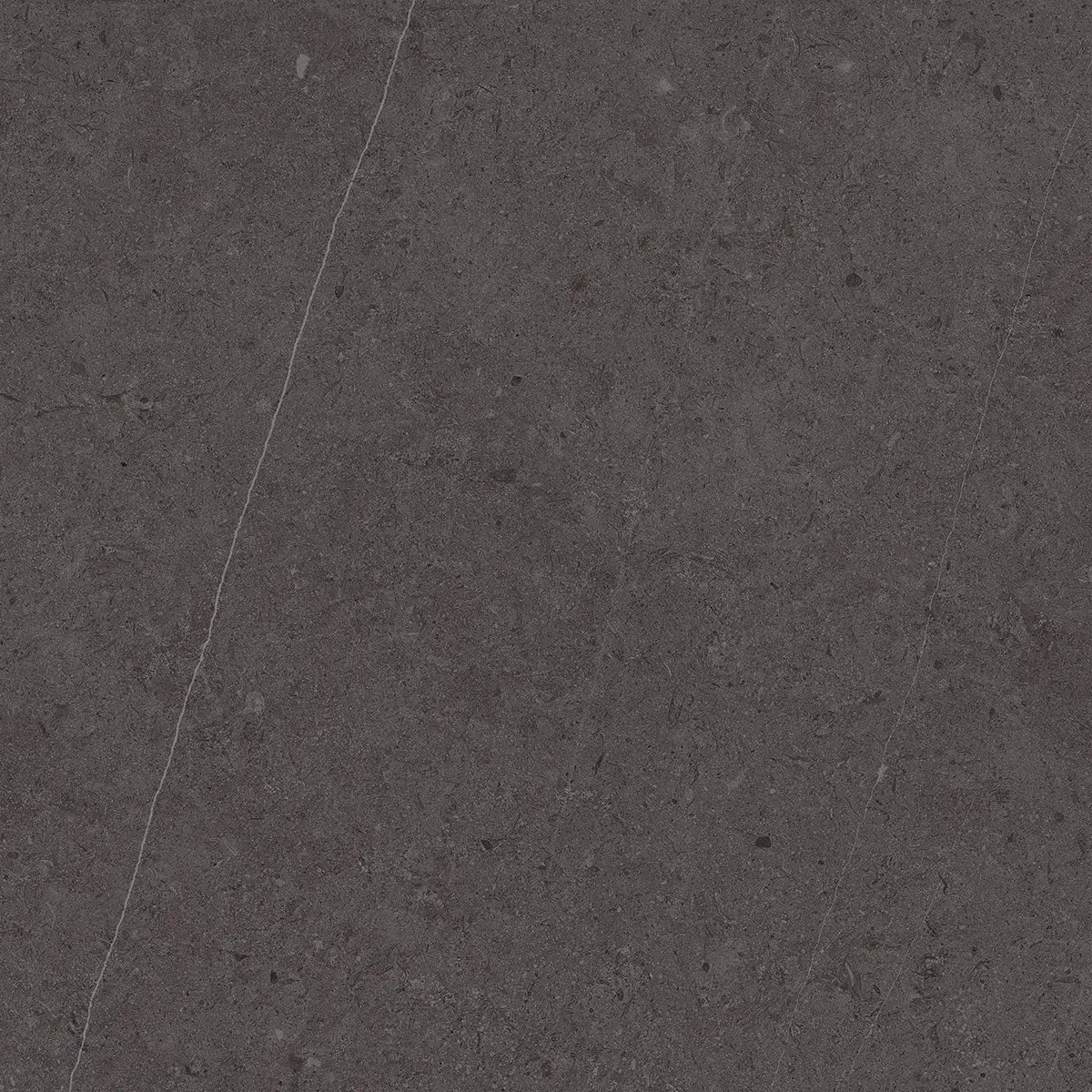 Керамогранит Jura Black, 80×80 см, 8 мм, матовая, фото 1