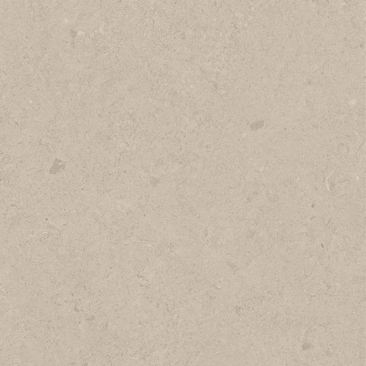 Керамогранит Jura Bone, 80×80 см, 8 мм, матовая, фото 9