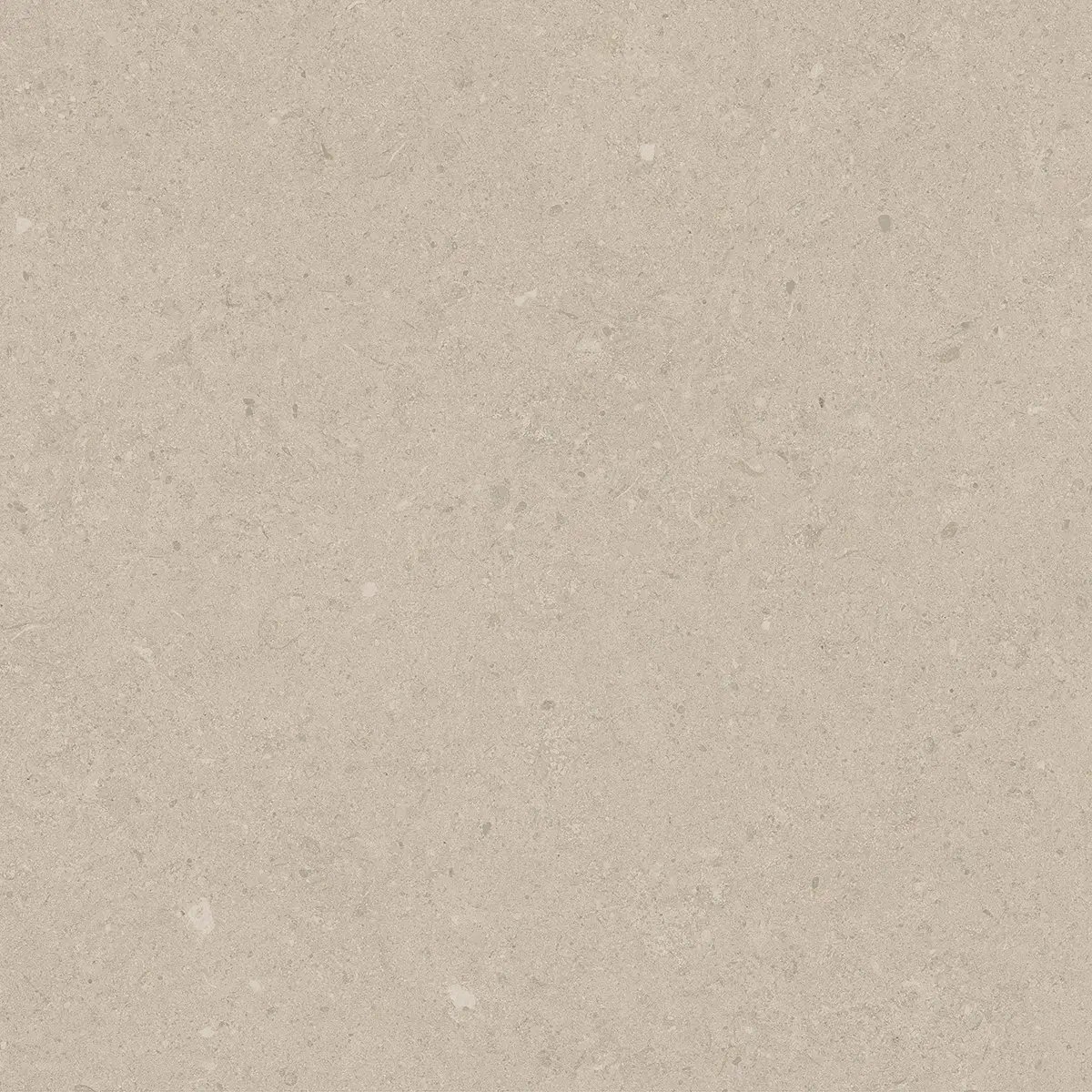 Керамогранит Jura Bone, 80×80 см, 8 мм, матовая, фото 12