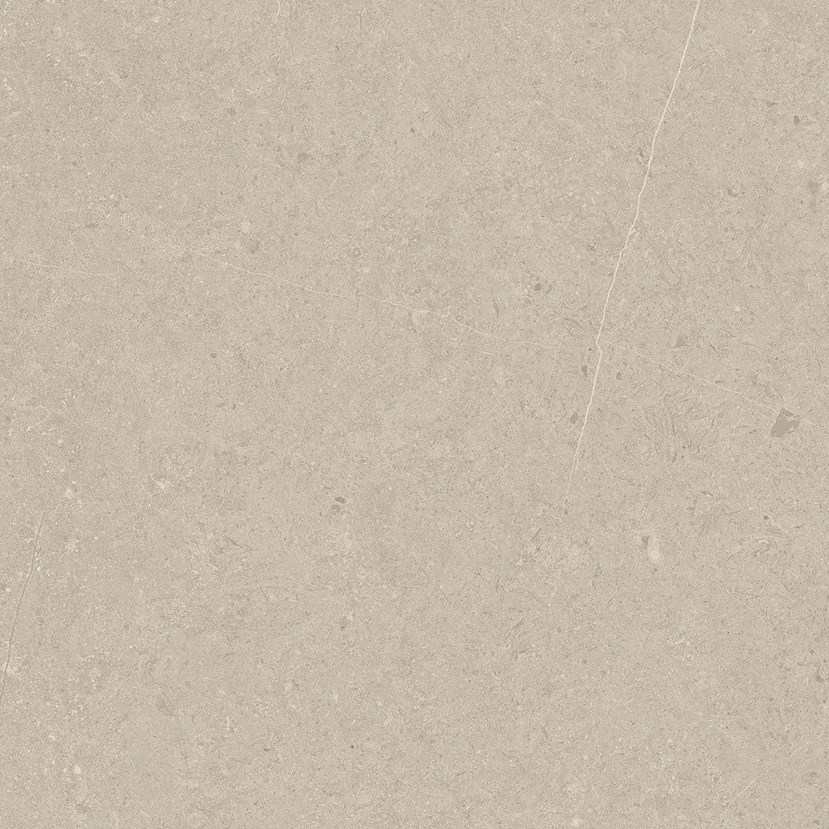 Керамогранит Jura Bone, 80×80 см, 8 мм, матовая, фото 4