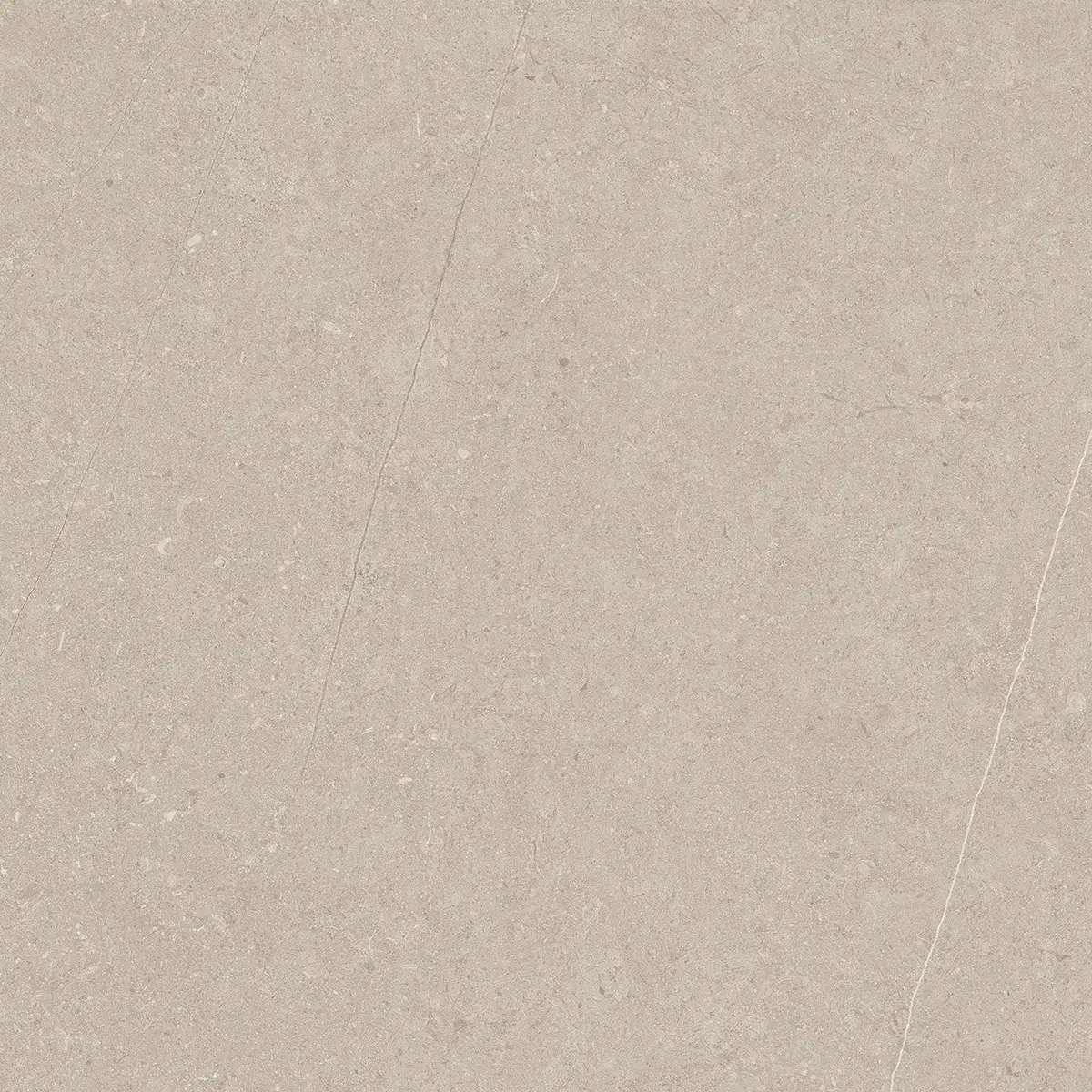 Керамогранит Jura Bone, 80×80 см, 8 мм, матовая, фото 5