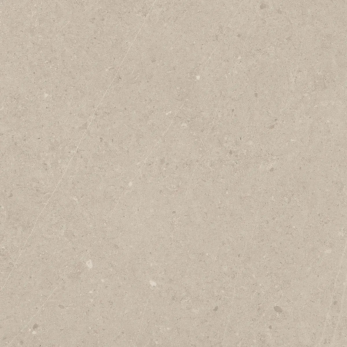 Керамогранит Jura Bone, 80×80 см, 8 мм, матовая, фото 6