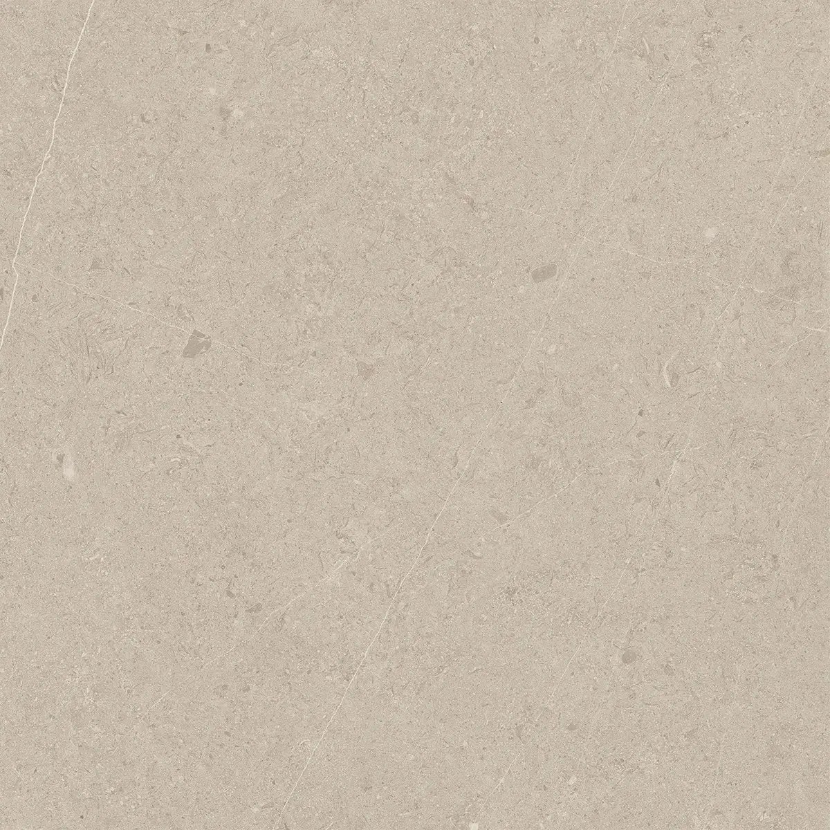 Керамогранит Jura Bone, 80×80 см, 8 мм, матовая, фото 7