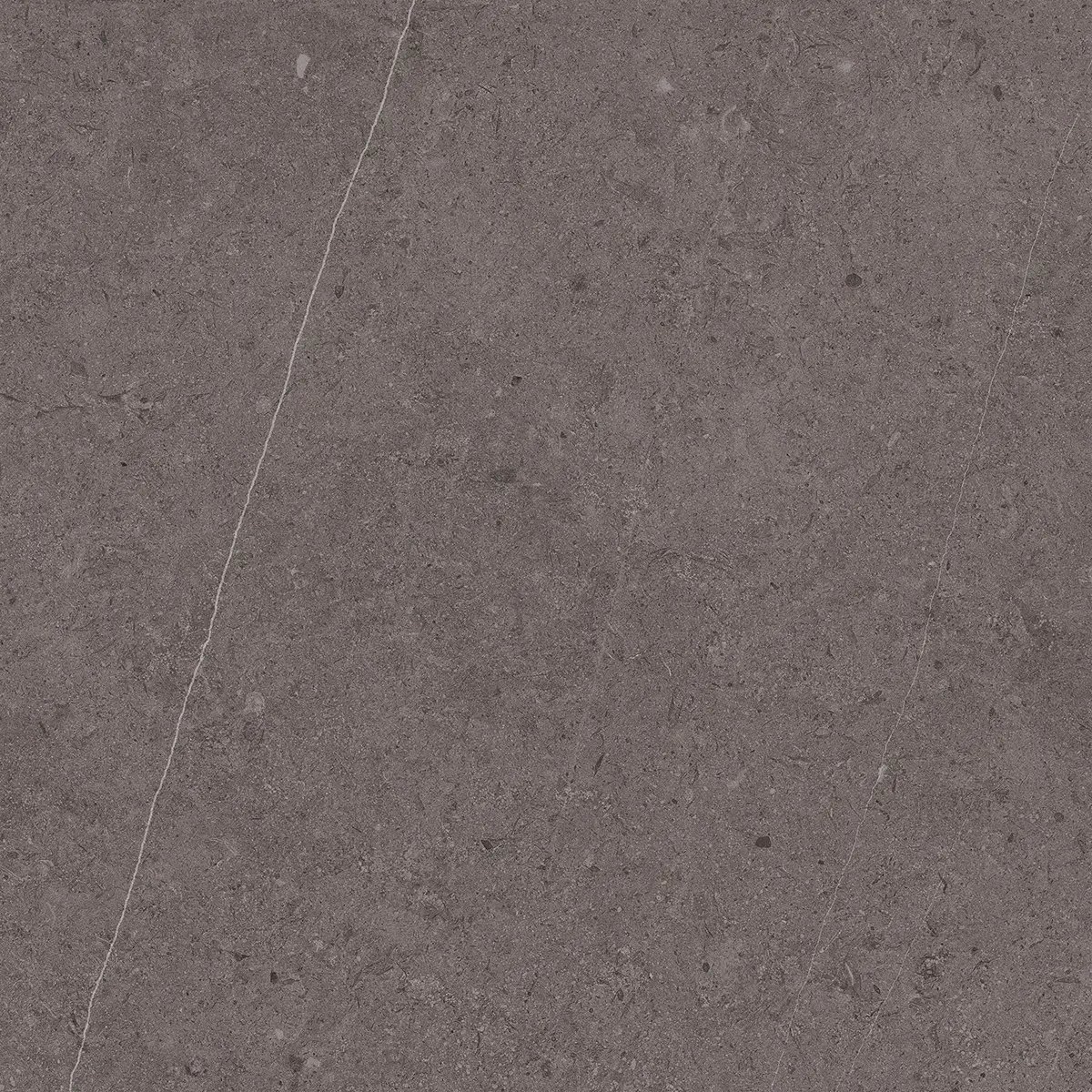 Керамогранит Jura Dark Grey, 80×80 см, 8 мм, матовая, фото 1