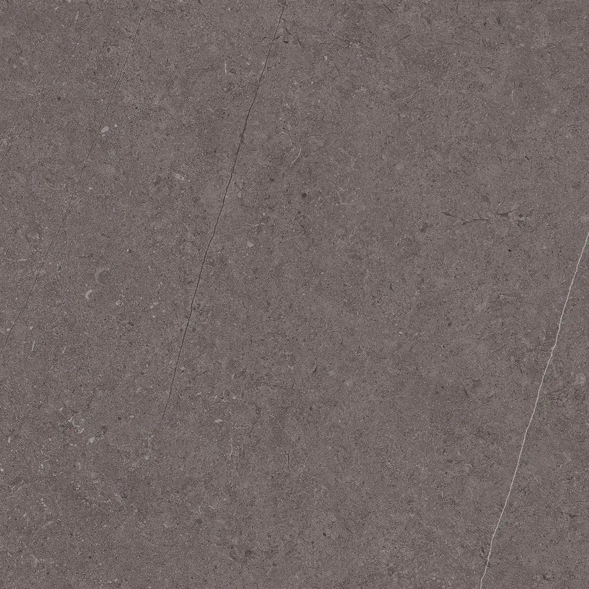 Керамогранит Jura Dark Grey, 80×80 см, 8 мм, матовая, фото 3