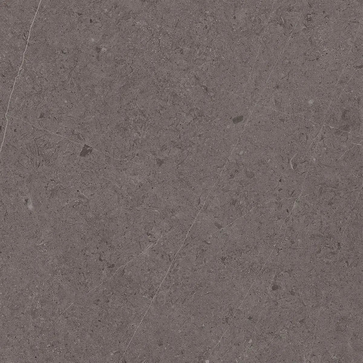 Керамогранит Jura Dark Grey, 80×80 см, 8 мм, матовая, фото 5