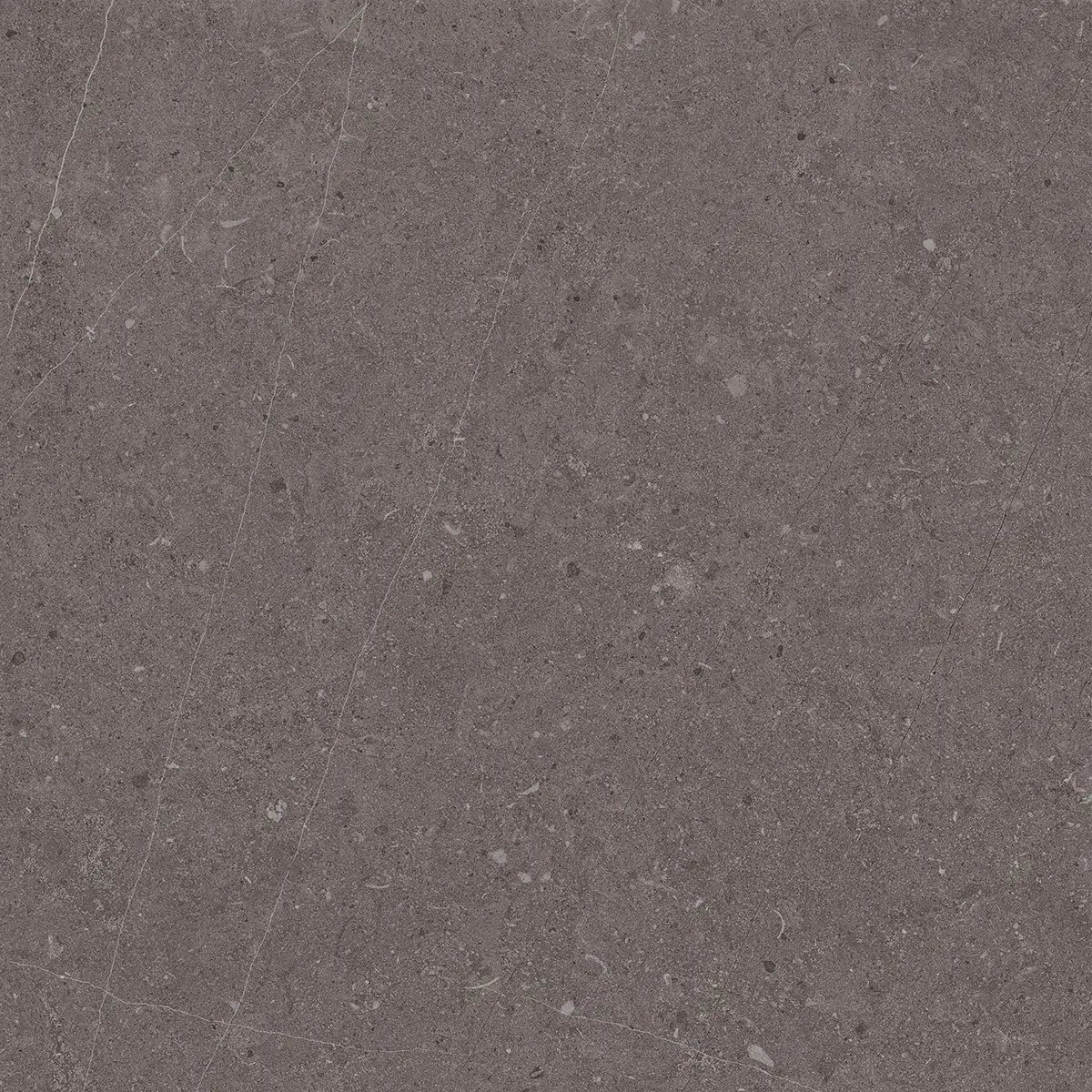 Керамогранит Jura Dark Grey, 80×80 см, 8 мм, матовая, фото 6