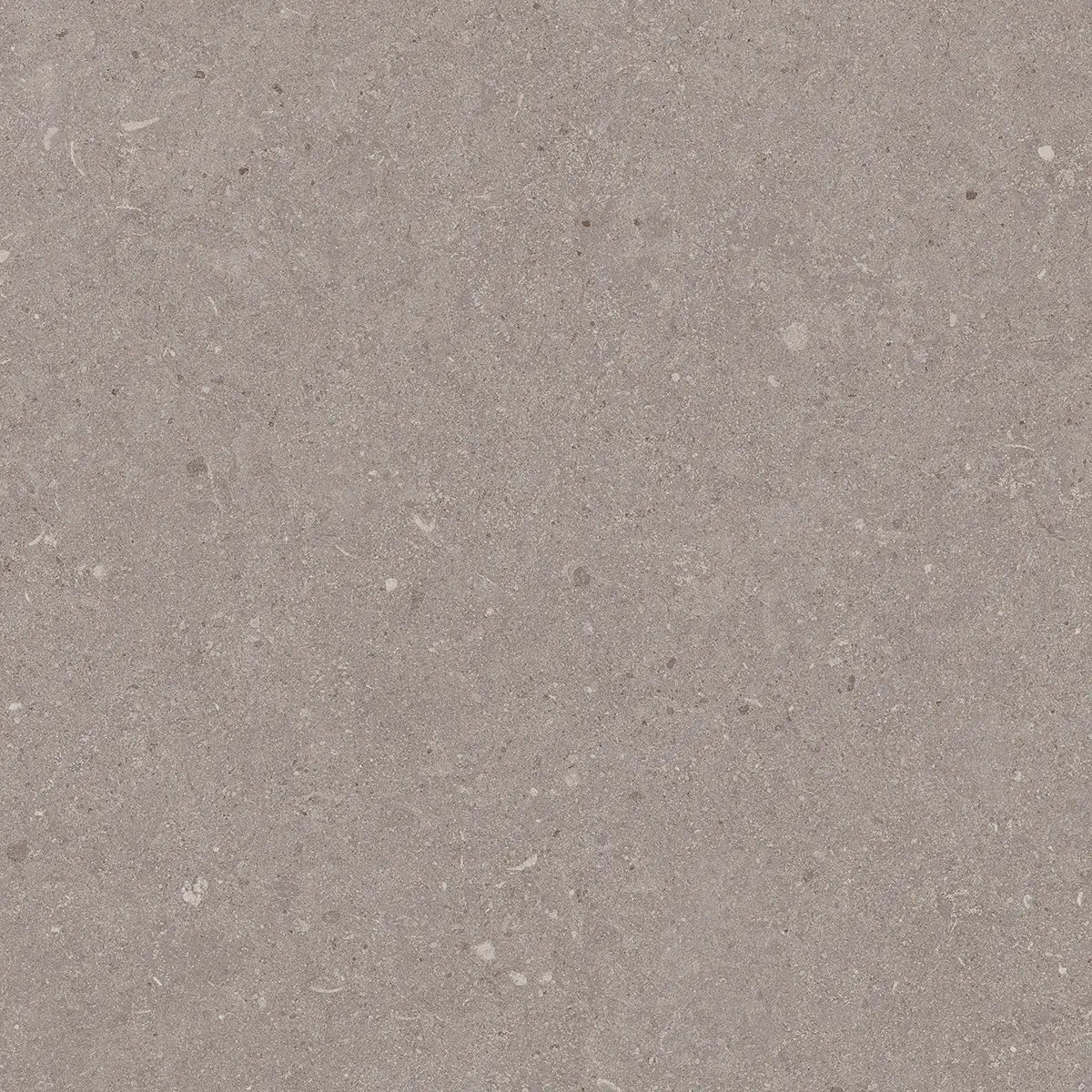 Керамогранит Jura Grey, 80×80 см, 8 мм, матовая, фото 2