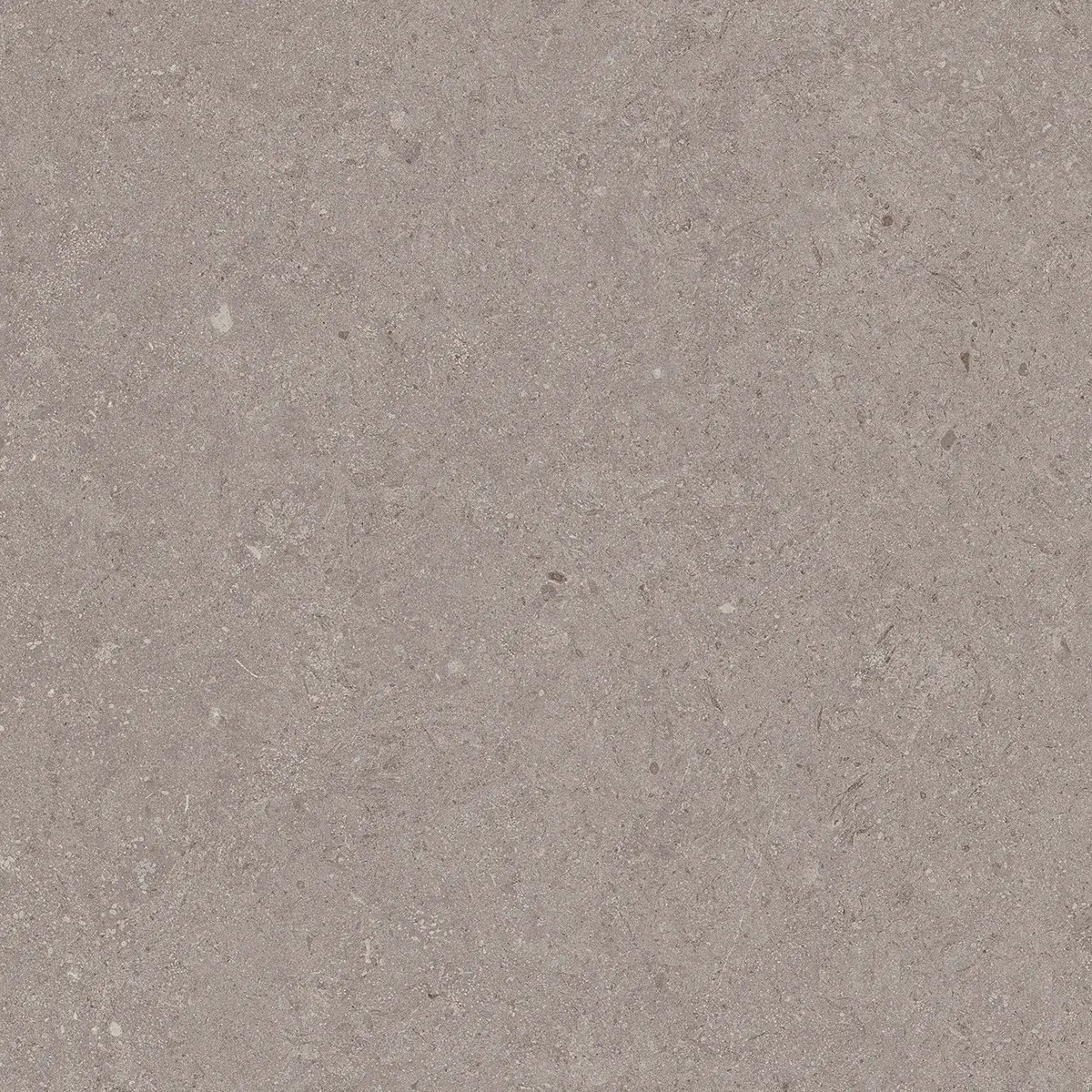 Керамогранит Jura Grey, 80×80 см, 8 мм, матовая, фото 8
