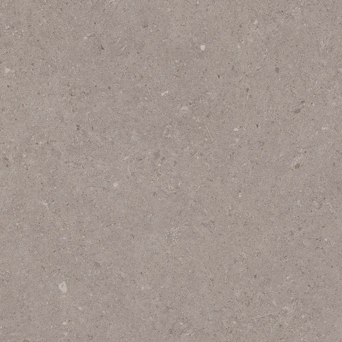 Керамогранит Jura Grey, 80×80 см, 8 мм, матовая, фото 12