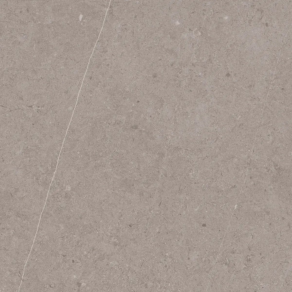 Керамогранит Jura Grey, 80×80 см, 8 мм, матовая, фото 1